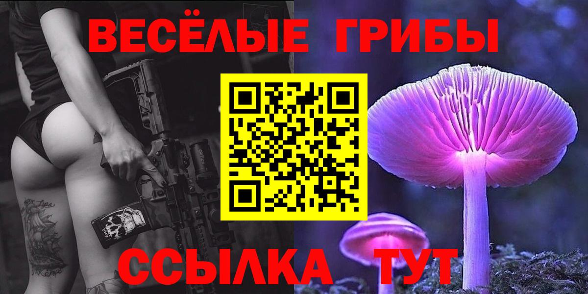 Галлюциногенные грибы GOLDEN TEACHER  Вход с VPN  где продают наркотики  Североуральск 